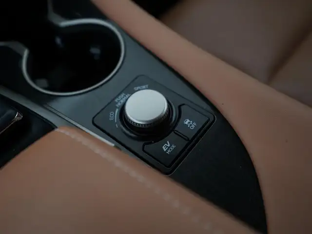 Lexus RX view 10