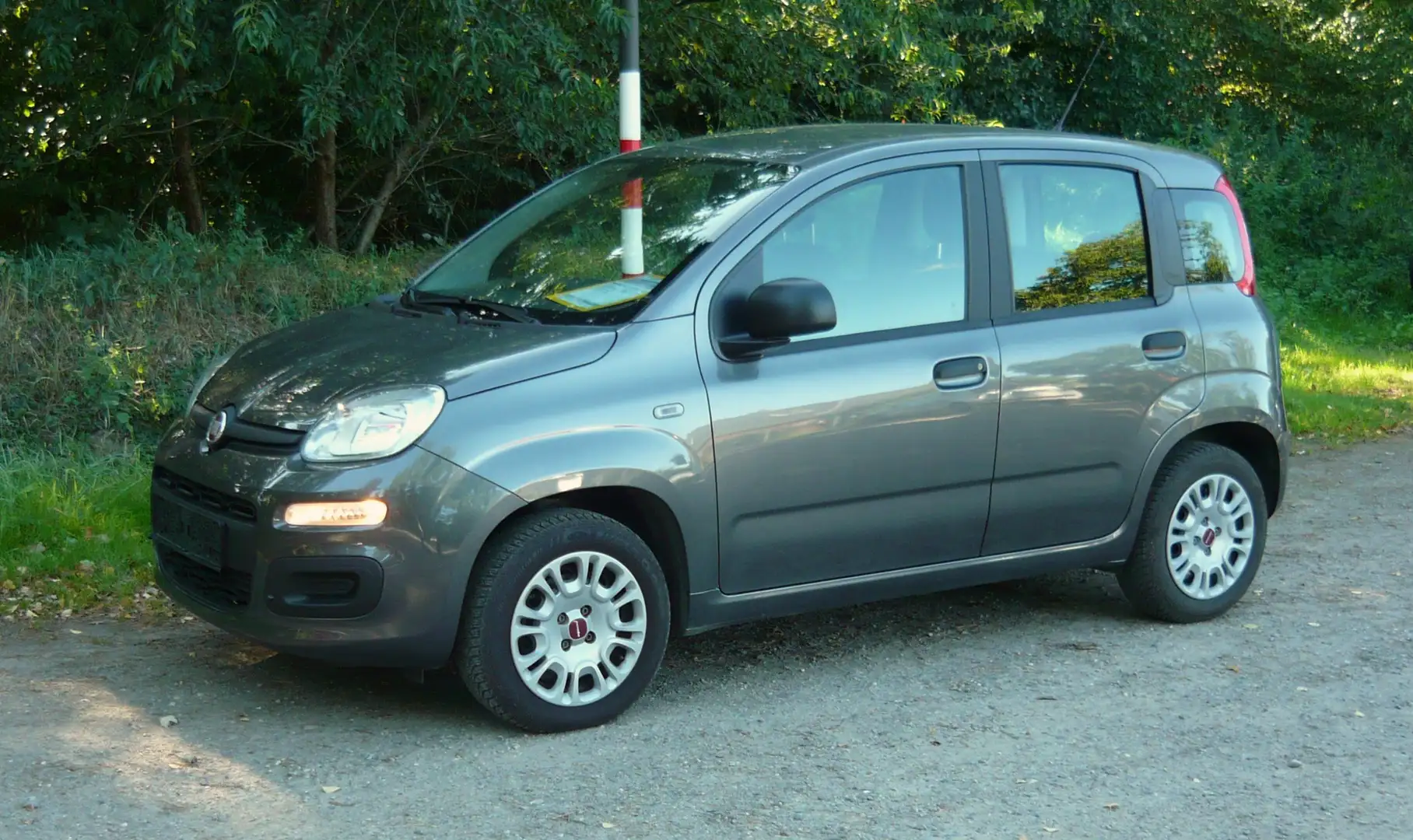 Fiat Panda Easy Grau - 1