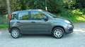 Fiat Panda Easy Grau - thumbnail 2