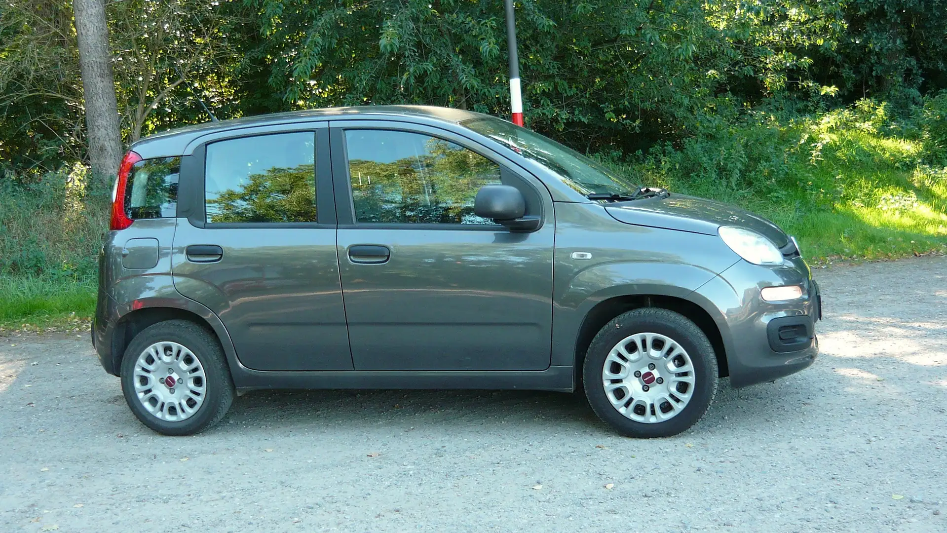 Fiat Panda Easy Grau - 2