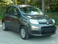 Fiat Panda Easy Grau - thumbnail 3