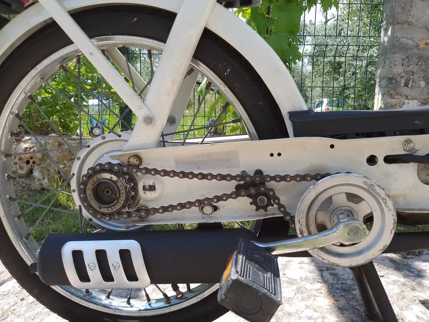 Piaggio Ciao Ciao PX.  Targa Oro FMI Alb - 1