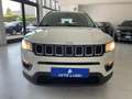 Jeep Compass Compass 1.6 mjt Business 2wd 120cv my20 Wit - thumbnail 3