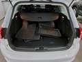 Ford Focus Turnier 1.5 EB Cool&Connect Navi LED B&O Blanco - thumbnail 11