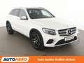 Mercedes-Benz GLC 250 GLC 250 4Matic AMG Line Aut.*NAVI*LED*TEMPPO*CAM* Schwarz - thumbnail 8