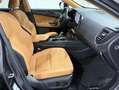 Lexus NX 300h 450h+ Executive 4WD Gris - thumbnail 10