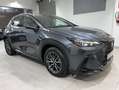 Lexus NX 300h 450h+ Executive 4WD Gris - thumbnail 13