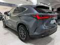 Lexus NX 300h 450h+ Executive 4WD Gris - thumbnail 17