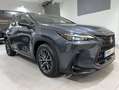 Lexus NX 300h 450h+ Executive 4WD Gris - thumbnail 9