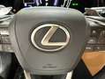 Lexus NX 300h 450h+ Executive 4WD Gris - thumbnail 32