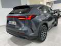 Lexus NX 300h 450h+ Executive 4WD Gris - thumbnail 3
