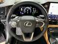 Lexus NX 300h 450h+ Executive 4WD Gris - thumbnail 28