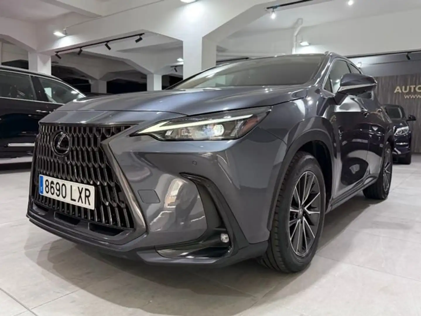 Lexus NX 300h 450h+ Executive 4WD Gris - 1