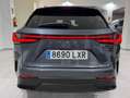 Lexus NX 300h 450h+ Executive 4WD Gris - thumbnail 15