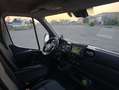 Renault Master L4 H3 TRAZIONE POSTERIORE EURO 6D TEMP ADBLU - thumbnail 6
