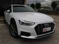 Audi A4 allroad garanzia casa madre 4x4 45 3.0 231cv tiptronic Weiß - thumbnail 1