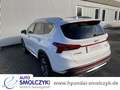Hyundai SANTA FE 1.6T PLUG-IN HYBRID 4WD 6AT PRIME PANOD Bianco - thumbnail 4