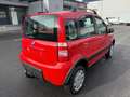 Fiat Panda 1.2 8V Climbing 4X4 Rot - thumbnail 4