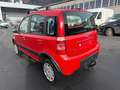 Fiat Panda 1.2 8V Climbing 4X4 Rot - thumbnail 3