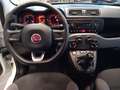 Fiat Panda Easy 1,2 GPL Blanc - thumbnail 15