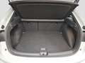 Volkswagen Taigo R-Line 1.5 TSI 150 PS DSG AHK IQ.DRIVE Weiß - thumbnail 12