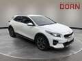 Kia XCeed Vision 1.4T DCT Komfort-/ Navigations-Pake Weiß - thumbnail 4