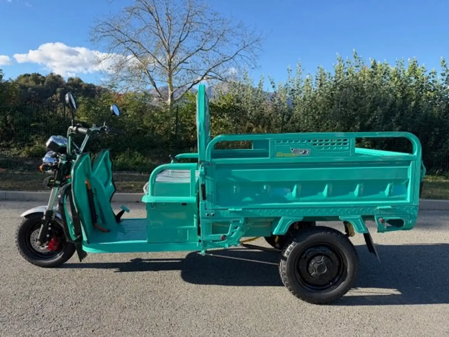 Altro E-CARRO SMART ELETTRICO 100% RIBALTABILE Blu/Azzurro - 1