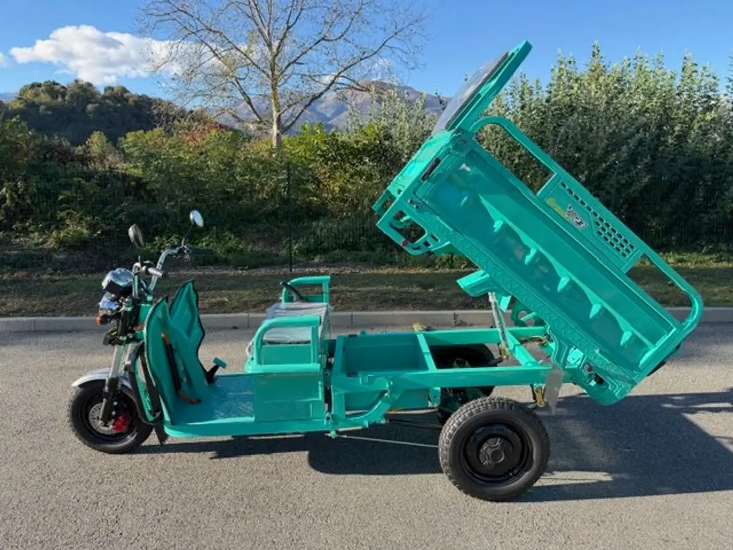 Altro E-CARRO SMART ELETTRICO 100% RIBALTABILE Blu/Azzurro - 2