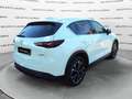 Mazda CX-5 CX-5 2.2L Skyactiv-D 150 CV 2WD Exceed - thumbnail 5