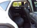 Mazda CX-5 CX-5 2.2L Skyactiv-D 150 CV 2WD Exceed - thumbnail 8