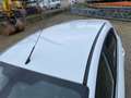 Ford Fiesta 1.0i TITANIUM EcoBoost Blanc - thumbnail 19