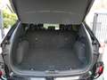 Ford Kuga ST-Line X 2.5 i PHEV 225pk automaat Full (84186) Zwart - thumbnail 14