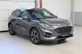 Ford Kuga PHEV ST-Line X,iACC/LED/LMR19''/NAVI/KAMERA Grau - thumbnail 4
