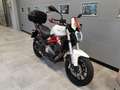 Benelli BN 302 BN 302 S  abs Wit - thumbnail 17