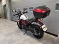 Benelli BN 302 BN 302 S  abs Wit - thumbnail 3