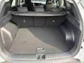 Hyundai TUCSON NX4 Jubile 1,6 T-GDi 2WD 48V t5bj1 Weiß - thumbnail 11
