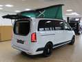 Mercedes-Benz Marco Polo V300 ArtVenture Edition Küche 5-Sitzer AMG MBUX Blanc - thumbnail 17