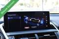 Lexus NX 300h AWD F F SPORT PANORAMADAK/MATRIX/LEDER/CAMERA/ETC. Gris - thumbnail 35