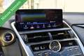 Lexus NX 300h AWD F F SPORT PANORAMADAK/MATRIX/LEDER/CAMERA/ETC. Gris - thumbnail 32
