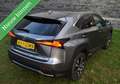 Lexus NX 300h AWD F F SPORT PANORAMADAK/MATRIX/LEDER/CAMERA/ETC. Gris - thumbnail 5