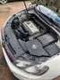 Volkswagen Golf Golf 5p 1.4 United 80cv Bianco - thumbnail 3