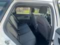 SEAT Leon ST Style * Zahnriemen und WP neu* NAVI *AHK Weiß - thumbnail 14