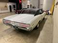 Pontiac GTO Wit - thumbnail 6