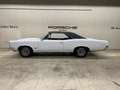 Pontiac GTO Wit - thumbnail 3