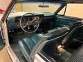 Pontiac GTO Wit - thumbnail 9