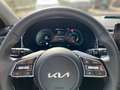 Kia XCeed Platinum 1.6 PHEV ACC Kamera LED Sitzklima Navi Silber - thumbnail 10