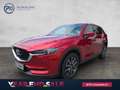 Mazda CX-5 G165 AWD Revolution Rot - thumbnail 1