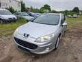 Peugeot 407 SW Platinum Grau - thumbnail 1