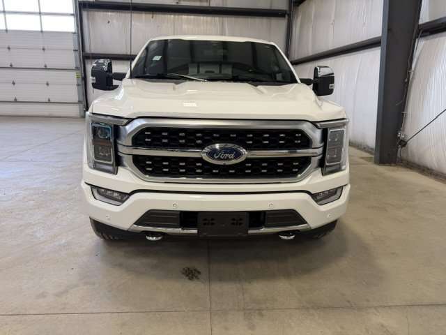 2021 Ford F-150 Platinum | Leather | 4x4 | Low Km's — снимка 1