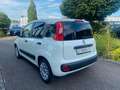 Fiat Panda 1.2 8V Easy Weiß - thumbnail 2